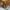 Pendergast Cityguys Amsterdam West Meat
